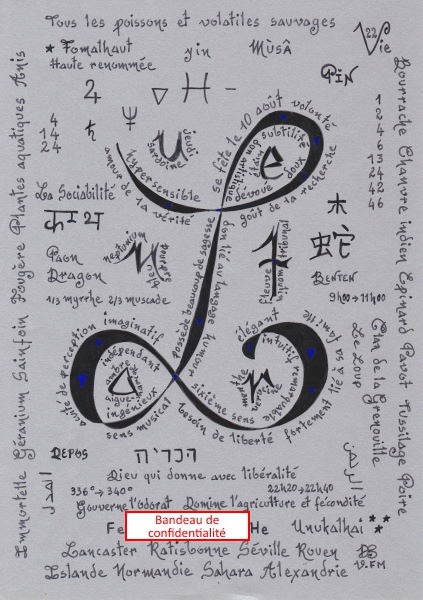 Zoom calligraphie